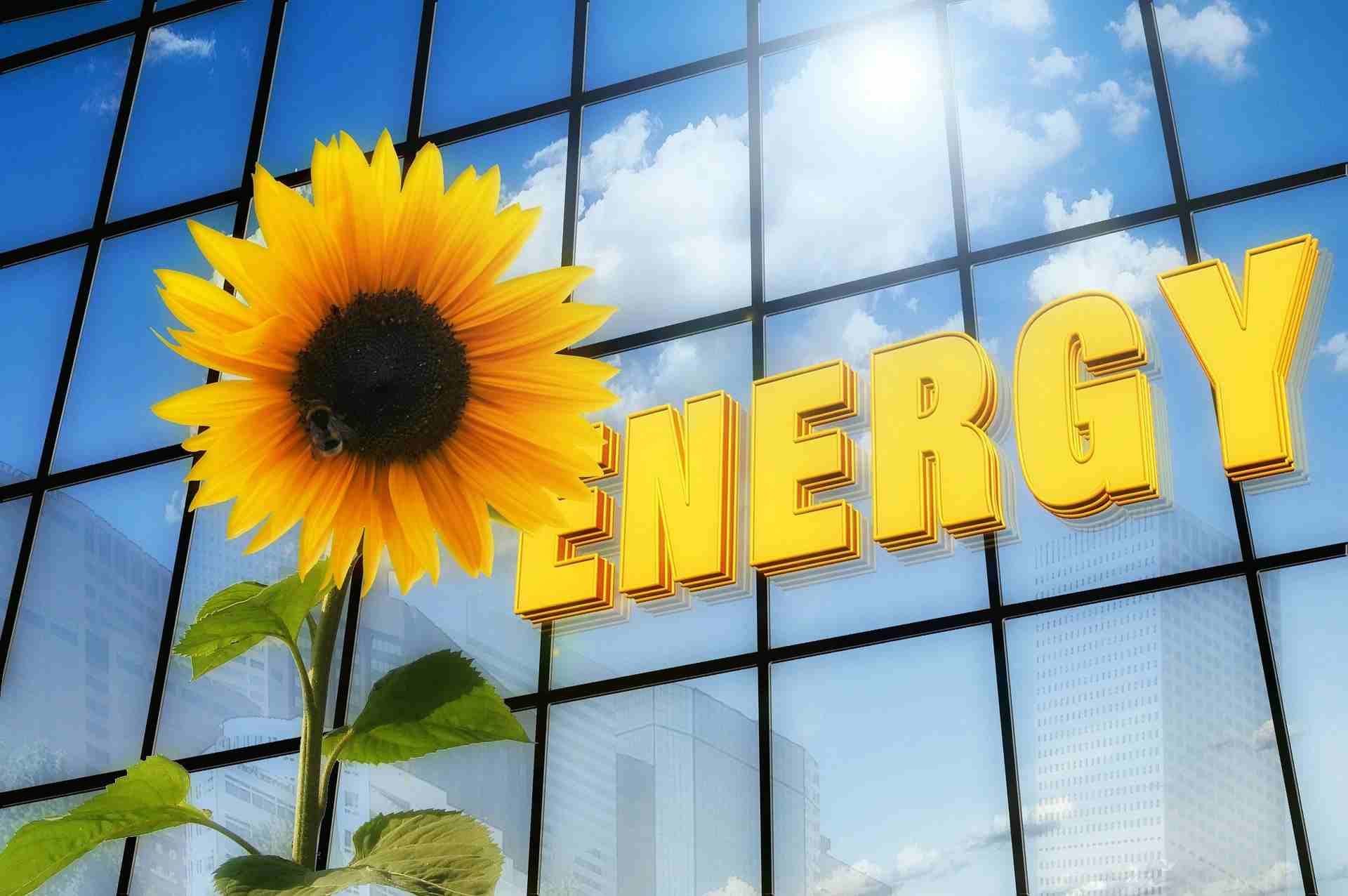 kwiatek na tle żółtego napisu energia